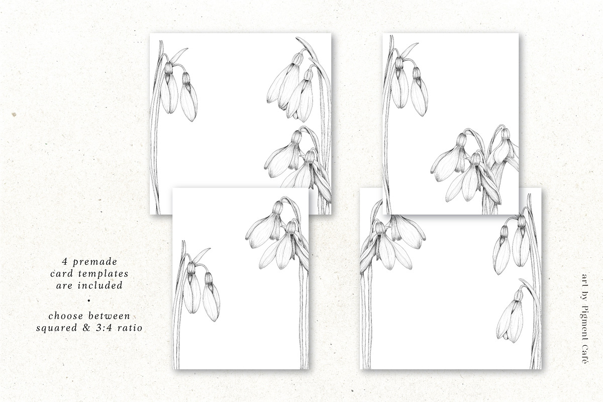 Snowdrop Flowers & Card Templates, an Illustration by Pigment Café (Photo 4 of 8)