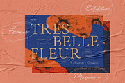 Myona Serif & Elfani Script + Extra, a Serif Font by Unfutur Labs (Thumbnail 5 of 18)