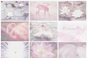 Rosewater Dreamy Pastel Backgrounds, a Background Graphic by alonahaidash (Thumbnail 11 of 16)