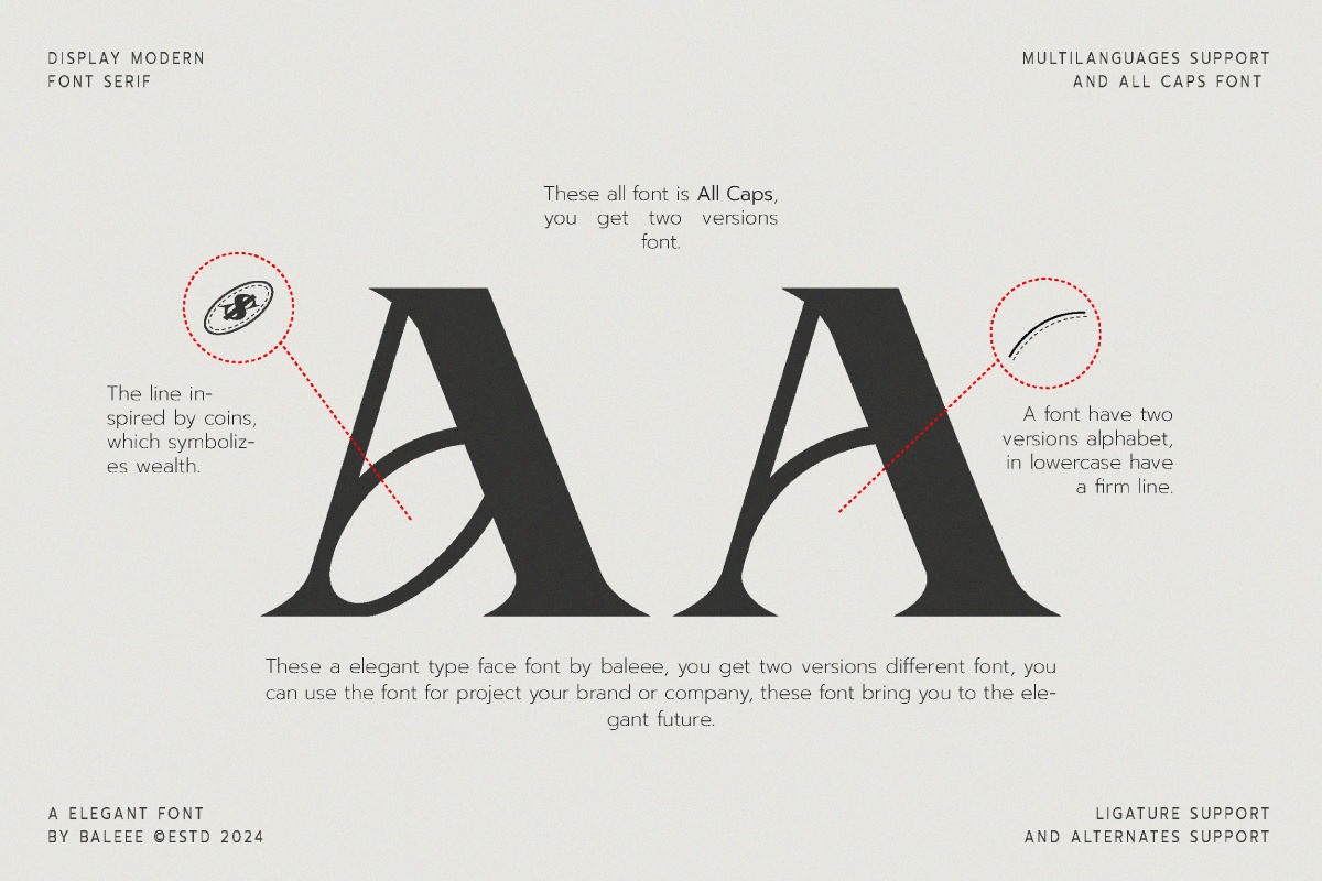 Aporla - Elegant Slab Serif, a Slab Serif Font by Baleee (Photo 12 of 18)