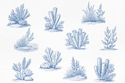 Vintage Marine Life Illustration Set, an Animal Illustration by NatalieArtShop (Thumbnail 14 of 20)