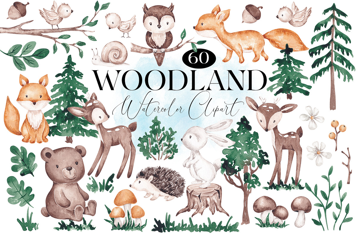 Woodland animals clip art, an Animal Illustration by SirenaArt (Photo 1 of 11)