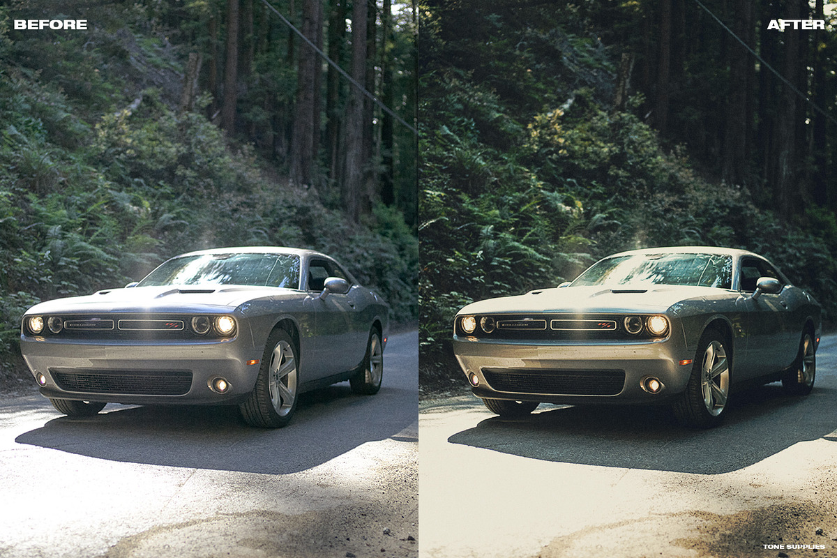 90's Vintage LUT Presets Photoshop, a Preset Add-On by TONE SUPPLIES (Photo 6 of 11)