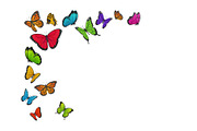 Colourful butterflies flying, an Animal Illustration by Yayasya (Thumbnail 2 of 3)