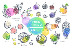 Fruits - Hand Drawn Vector Set