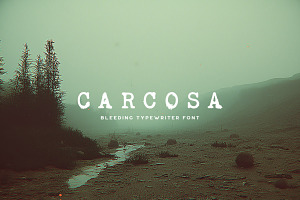 Carcosa Typeface, a Serif Font by Tugcu Design Co.