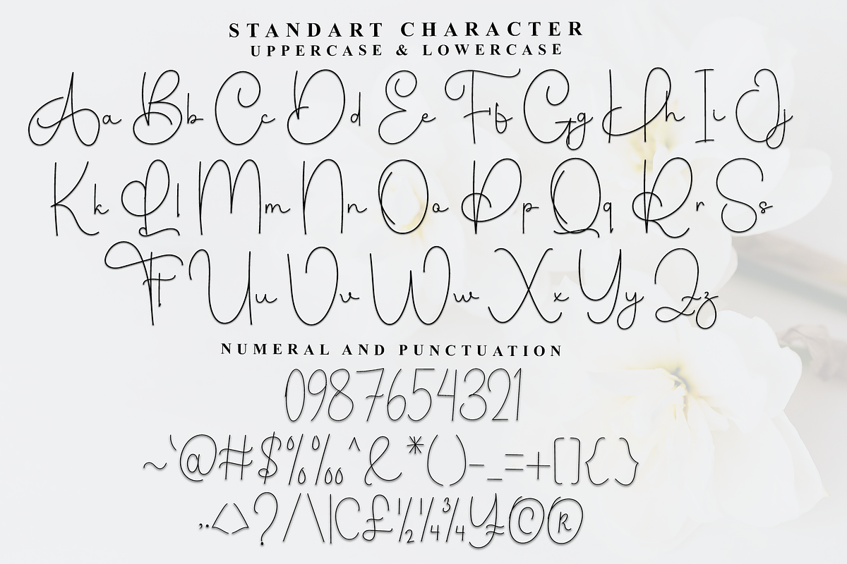 Festifal Handmade, a Handwritten Font by FreshTypeINK (Photo 2 of 8)