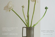 Pastel Paper Textures & Frames, a Texture Graphic by alonahaidash (Thumbnail 15 of 21)