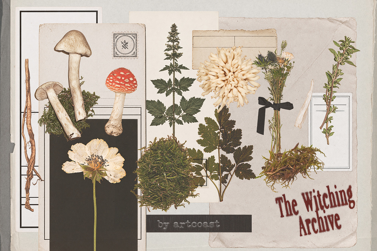 The Witching Archive, an Object Graphic by nadispasibenko (Photo 4 of 10)