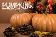 Happy Fall Display Font Duo, a Font by ByGiftyJane (Thumbnail 3 of 7)