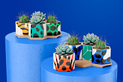 Totem. Vector animals and plants set, an Animal Illustration by Oliana Moroz (Thumbnail 20 of 23)