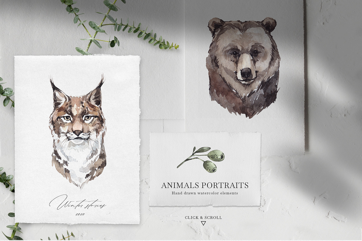 Forest Legends Winter animal set, a Seasonal Illustration by Anastezia Luneva (Photo 3 of 17)