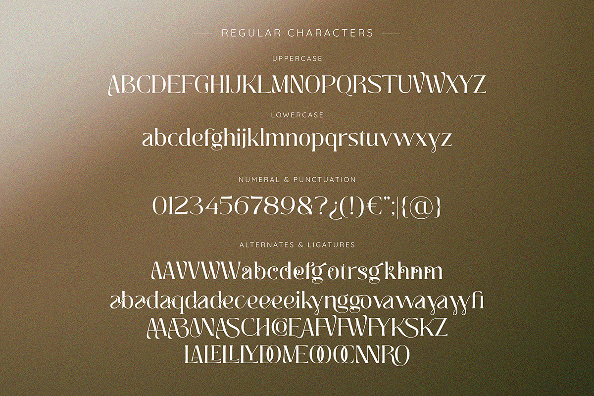 Insta Avant | Ligature Elegant Serif, a Serif Font by ClevUs (Photo 10 of 12)