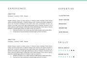 3 Page Resume Template | INDD + DOCX, a Resume Template by BlackDotResumes (Thumbnail 6 of 6)