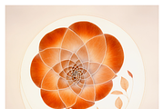 Bona Collection · The Spiral Fall, a Texture Illustration by milatovar (Thumbnail 7 of 21)