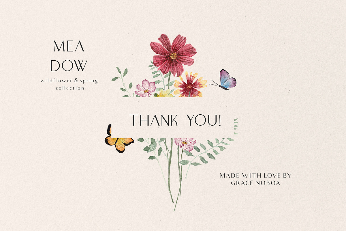 MEADOW bright wild flowers set, a Decorative Illustration by Grace Noboa Illustrations (Photo 8 of 8)