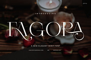 Fagora Calligraphy Serif Font, a Serif Font by Graphicxell (Thumbnail 1 of 9)
