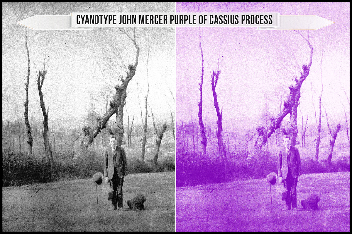 Authentic Cyanotype LUTs, a Plug-in Add-On by Raztrend (Photo 7 of 32)