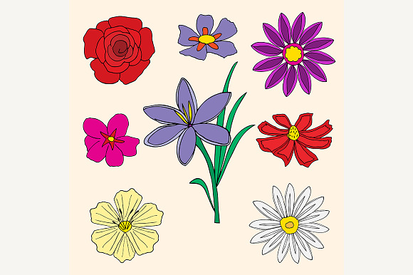 Flowers Collection