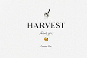 Watercolor Thanksgiving Collection, a Food Illustration by Damian Roh (Thumbnail 17 of 17)