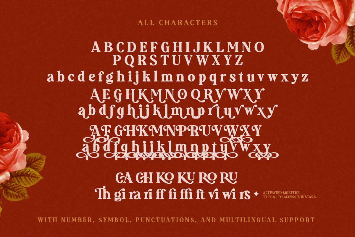 Augillion - Soft Bold Serif, a Serif Font by Sarid Ezra (Photo 10 of 11)