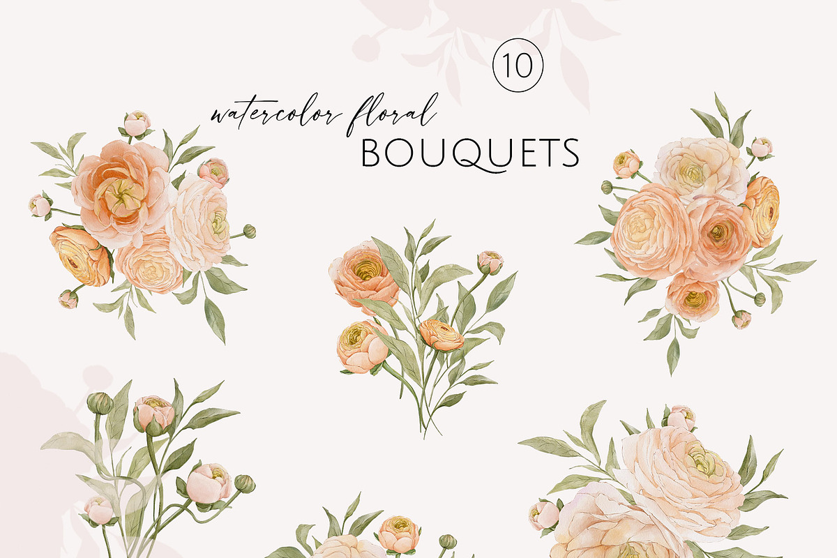 Peach BLOOM watercolor florals, a Decorative Illustration by Yuliia Lashevska (Photo 6 of 14)