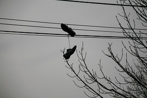 Lost Shoes
