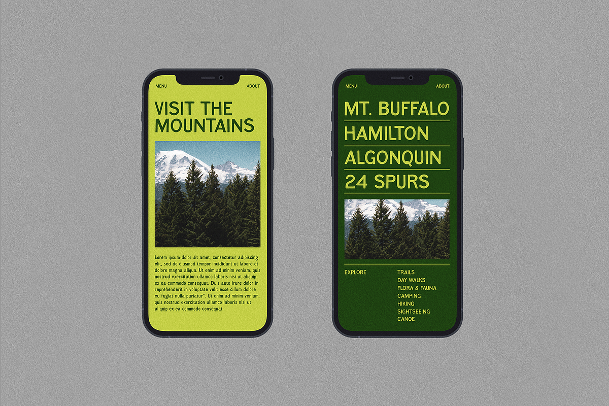 Pine Tree - Hand Drawn Sans, a Sans Serif Font by UppercapType (Photo 3 of 6)