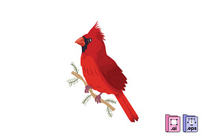Hand Drawn Cardinal Illustration, an Animal Illustration by MISS CHATZ