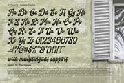 Gradable, a Script Font by Ditatype (Thumbnail 9 of 11)