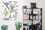 Watercolor shellfish set, an Animal Illustration by miminoshka (Thumbnail 6 of 7)