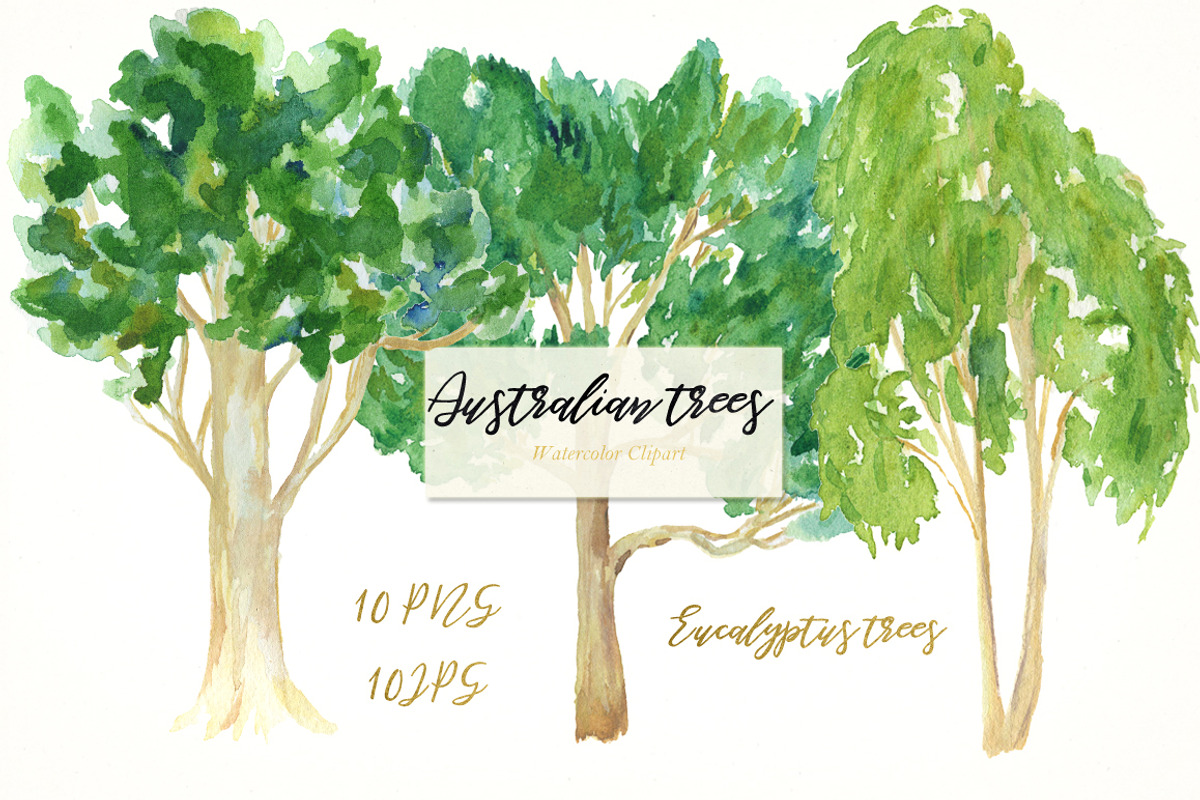 Australian native trees. Watercolor, an Illustration by LABFcreations