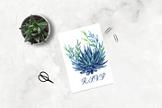 Succulents Watercolor clipart, an Illustration by BarvArt (Thumbnail 2 of 13)