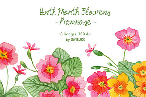 Birth Month Flowers - Primrose
