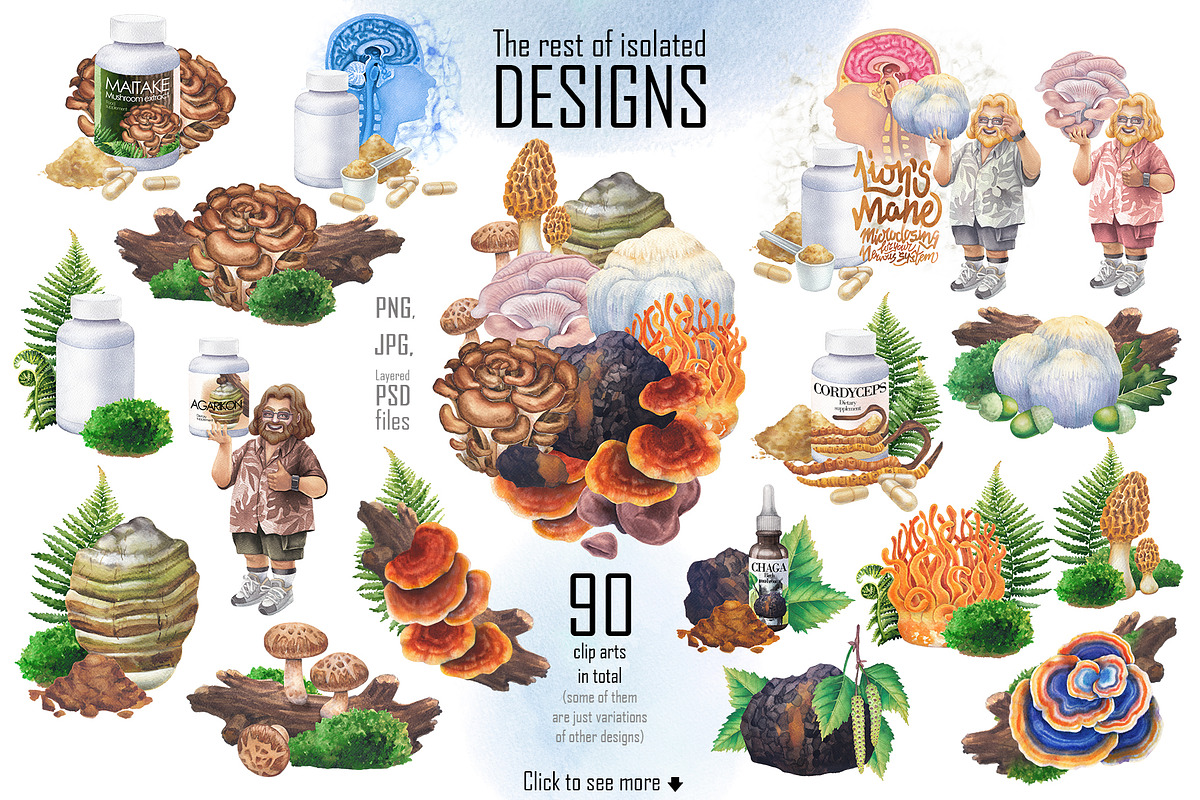 Watercolor Medicinal Mushrooms, a Healthcare Illustration by Ekaterina Glazkova (Photo 7 of 9)