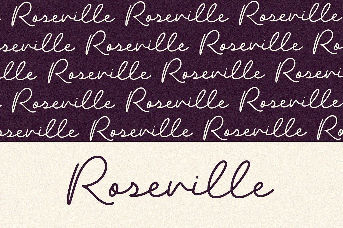 Blush - Script Font, a Script Font by Alpaprana (Photo 5 of 10)