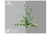 81 Farm Plants Photo Overlays, a Nature Photo by KenScape (Thumbnail 2 of 3)