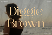 Diggie Brown | Modern Display Serif, a Serif Font by Denustudios (Thumbnail 1 of 12)