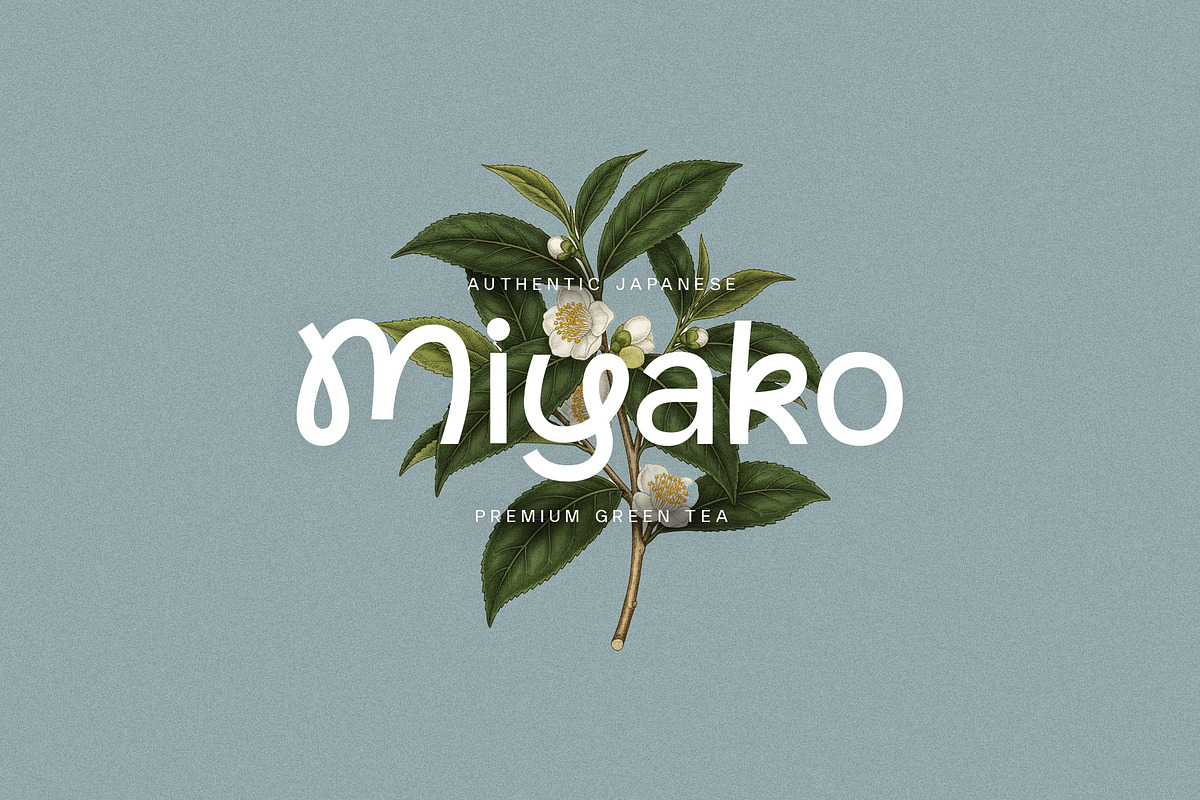 Norte, a Sans Serif Font by vuuuds (Photo 4 of 13)
