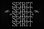 Furlong Vintage Serif Font, a Serif Font by Tropical Type (Thumbnail 5 of 11)