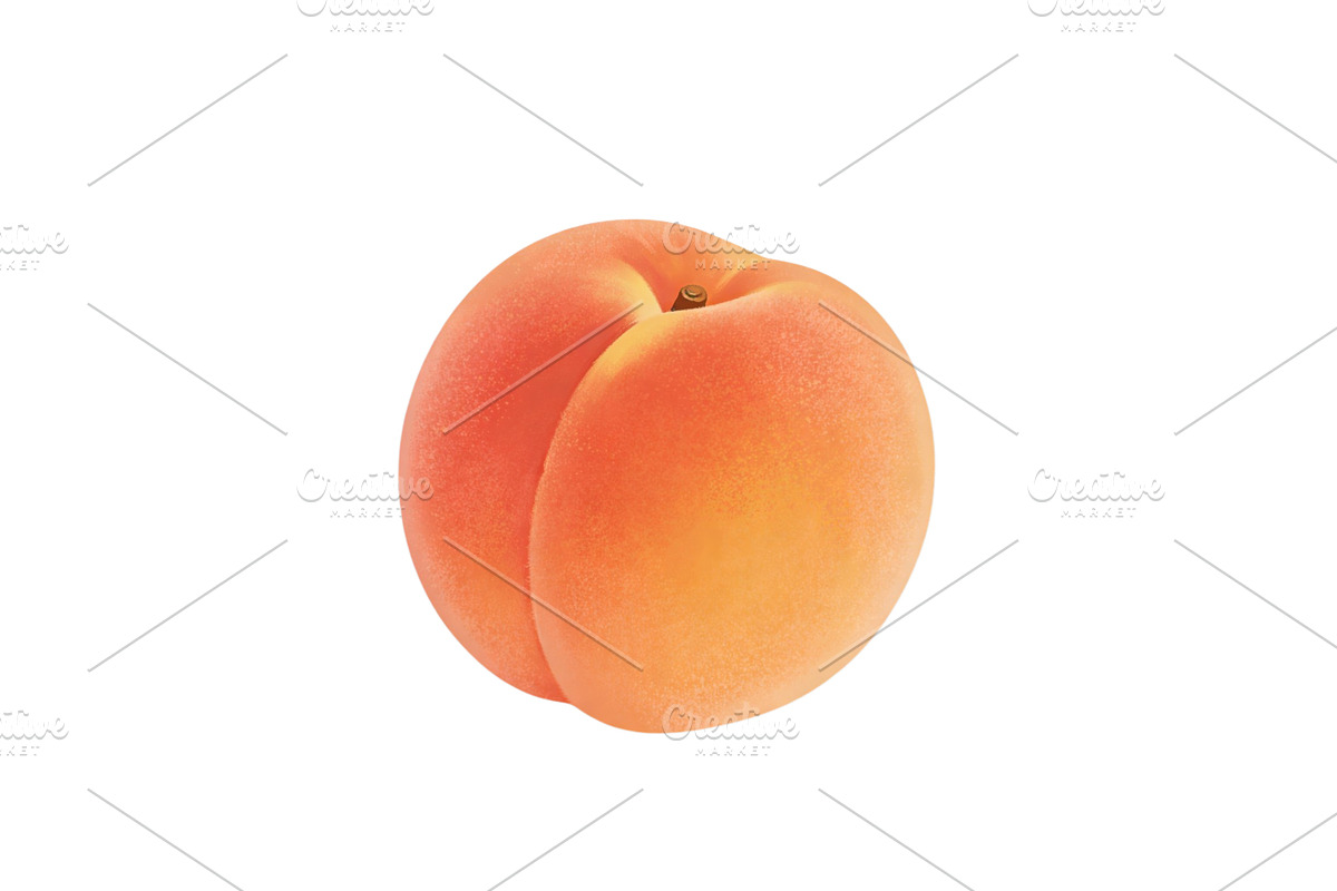All Fruits Bundle Master Collection, a Food & Drink Photo by FlyeredTemplate (Photo 102 of 130)