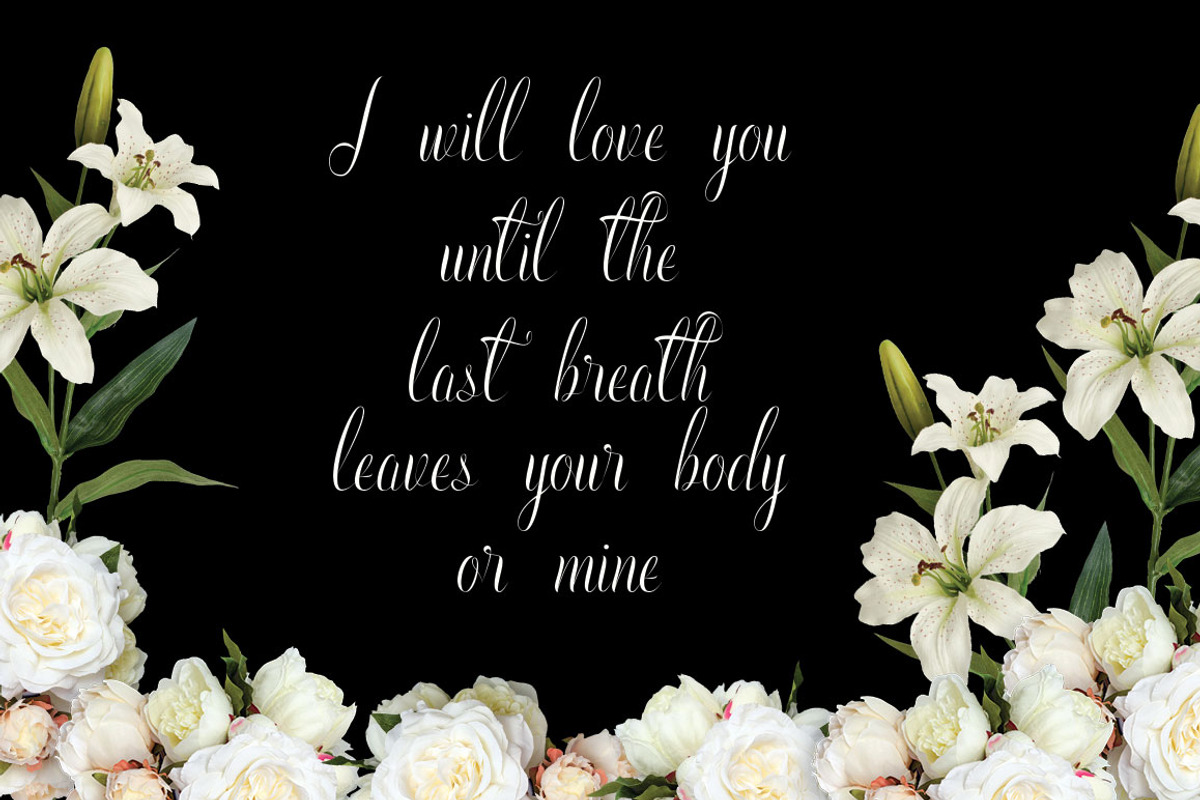 Fonts Bundle preview 8