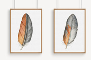 Feather Watercolor Clipart, an Illustration by Libby Wishes (Thumbnail 3 of 7)