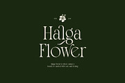 Thomy Elegant Serif Font, a Serif Font by Graphicxell (Thumbnail 2 of 8)