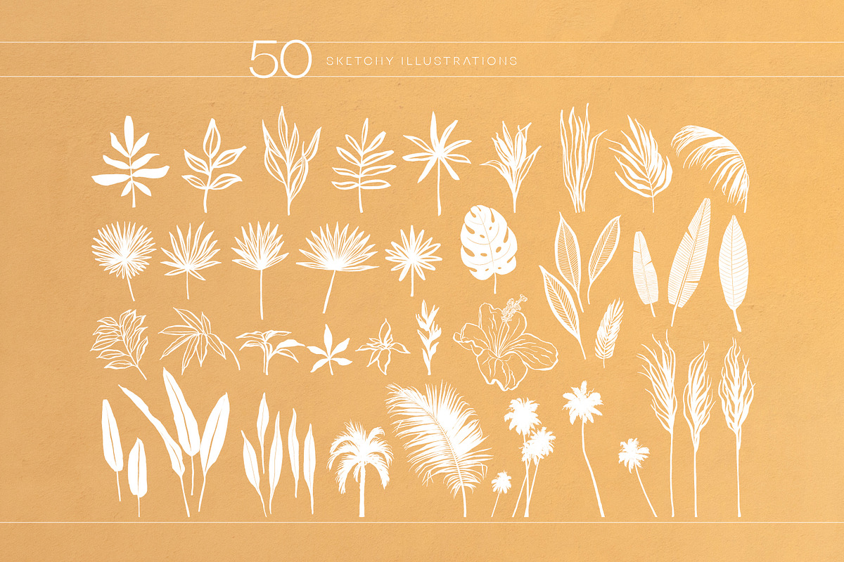 Calor Tropical Boho Collection, a Decorative Illustration by ink & pixels (Photo 2 of 8)