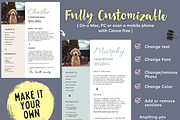 Pet Rental Application Resume, a Flyer Template by Climbwithelevator (Thumbnail 3 of 5)