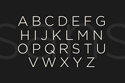 Stiepa | Modern Serif & Sans, a Serif Font by Dora Typefoundry (Thumbnail 24 of 28)
