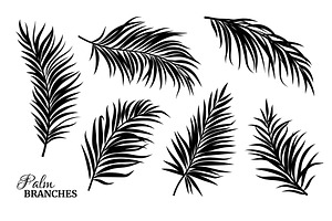 Black Silhouettes Of Palm Leaves.