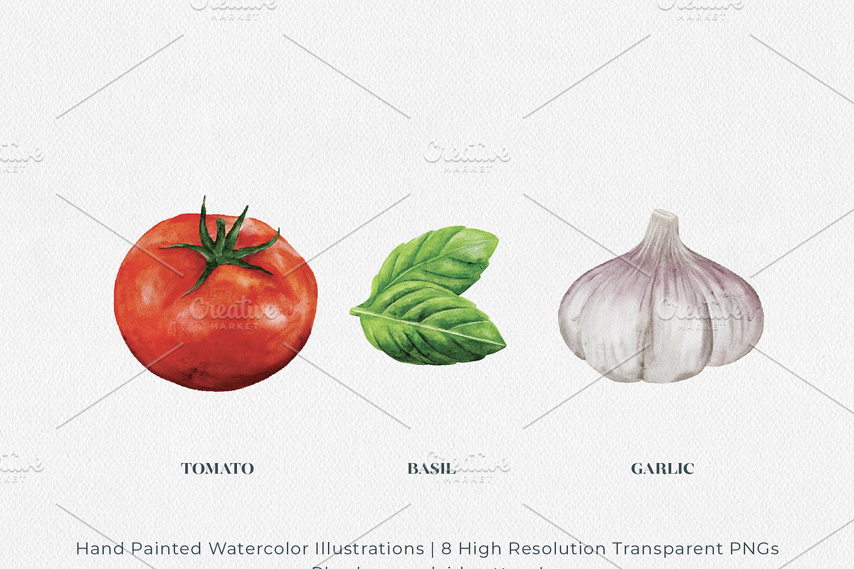 Italian Pasta & Tomato Watercolors, a Food Illustration by Jeanette Pidi Design (Photo 2 of 6)