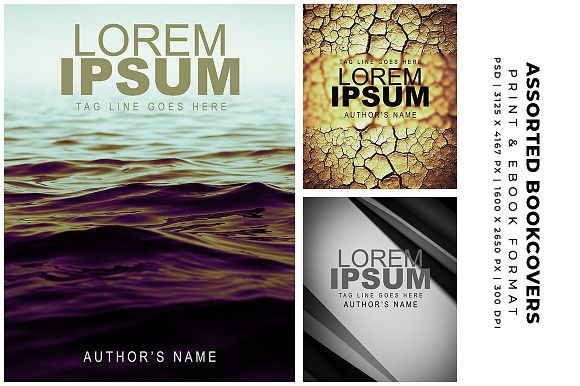 Assorted Book Cover Templates preview 5